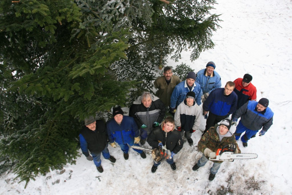 RAN AN DEN BAUM: Zu Kleinholz verarbeiteten die Eigenrieder am Wochenende ihr Prachtexemplar von Weihnachtsbaum. Foto: I. Henning